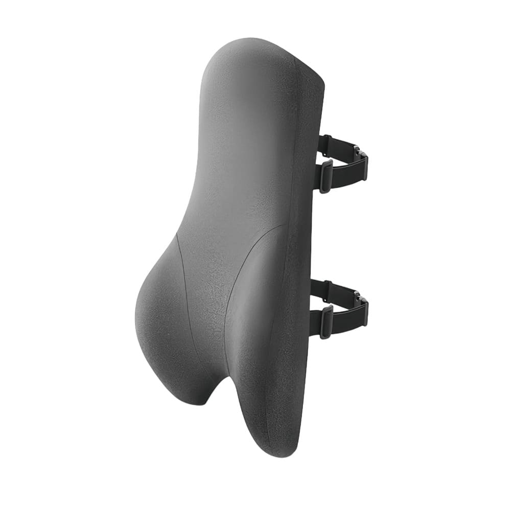 Gray seat lumbar with straps on a white background
