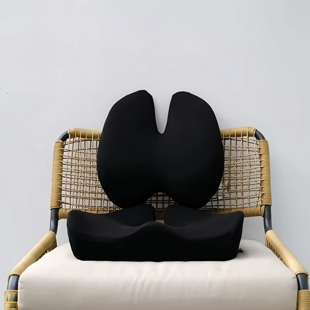 Byeache™ Orthopedic Comfort Set: Seat & Back Cushion pillow