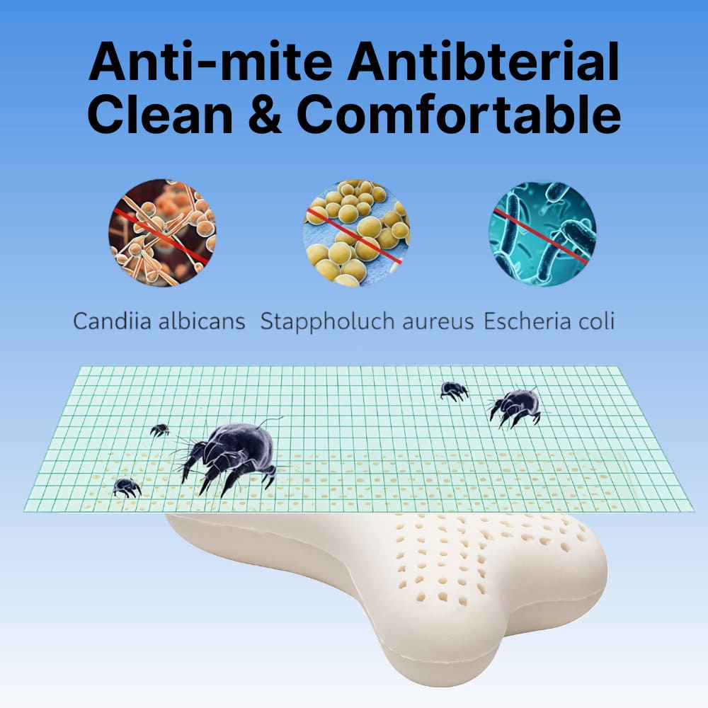 ByeAche™ bone-shaped latex car headrest pillow with anti-mite features