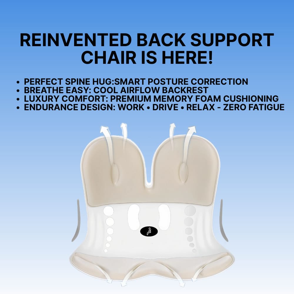 Back support chair with features listed on a blue background