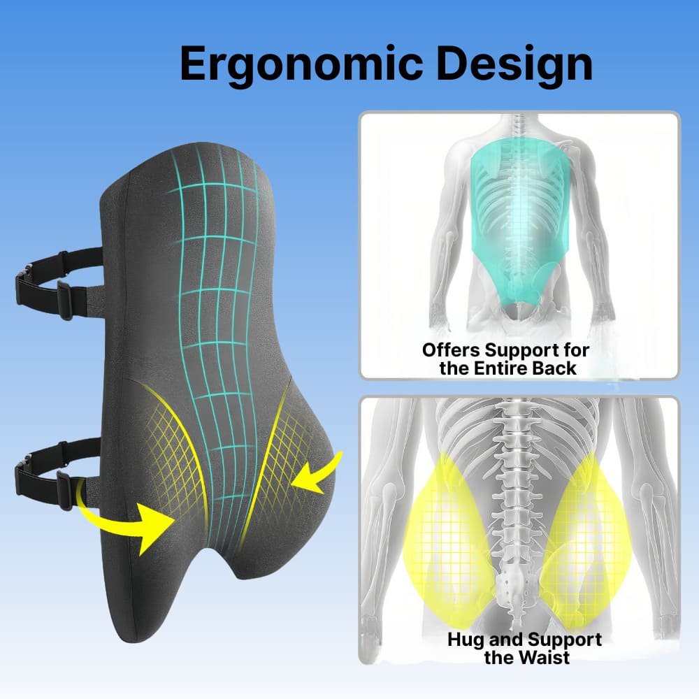 Ergonomic design of a back support product with anatomical illustrations on a blue background.