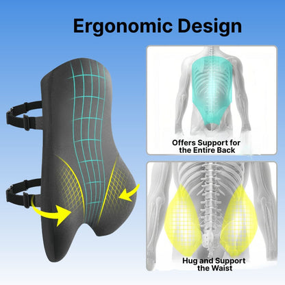Ergonomic design of a back support product with anatomical illustrations on a blue background.