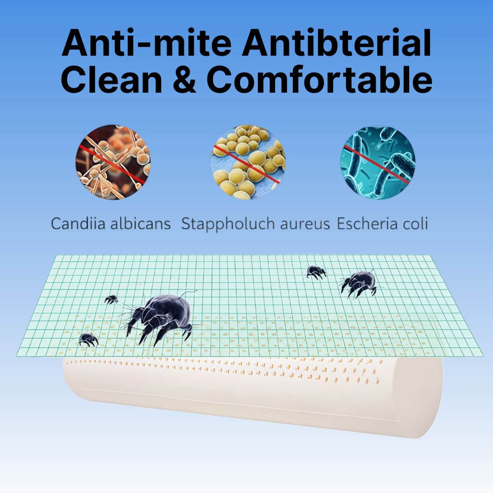ByeAche™ cylindrical pillow with anti-mite antibacterial features, clean comfort