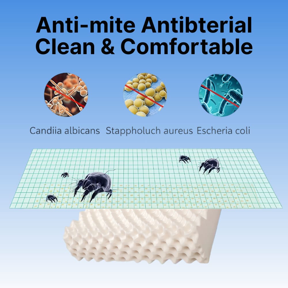 ByeAche™ natural latex pillow with anti-mite antibacterial properties
