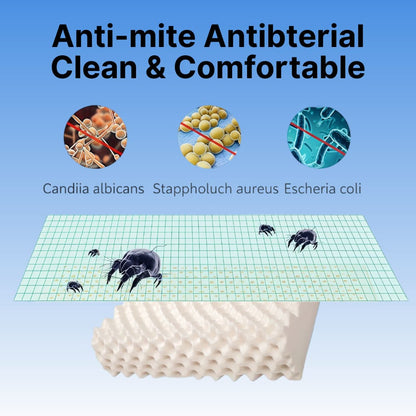 ByeAche™ natural latex pillow with anti-mite antibacterial properties