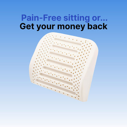 Byeache natural latex lumbar support cushion for car seats with perforated design
