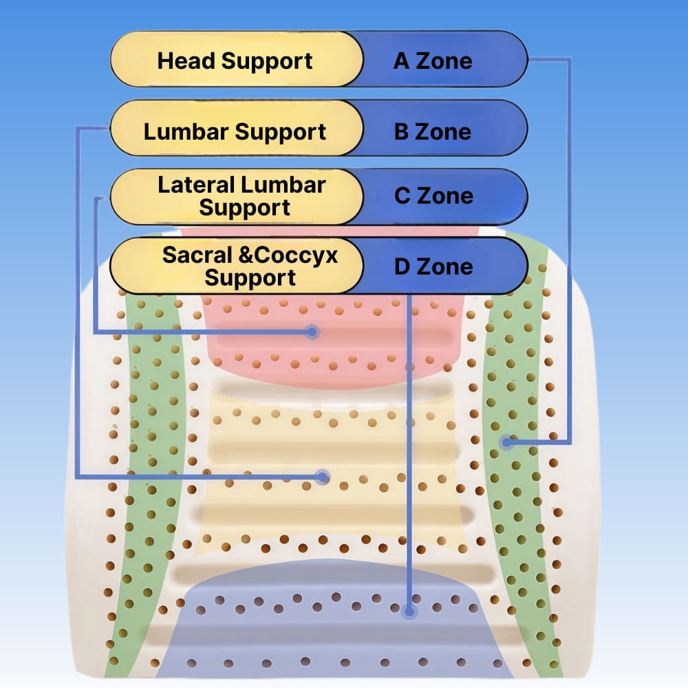ByeAche™ Natural Latex Lumbar Support Cushion zone diagram