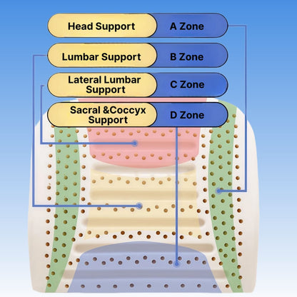 ByeAche™ Natural Latex Lumbar Support Cushion zone diagram