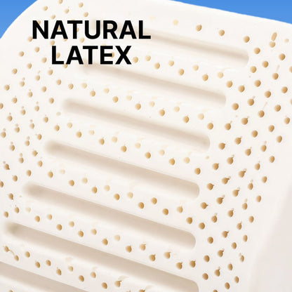 ByeAche™ Natural Latex Lumbar Support Cushion close-up texture