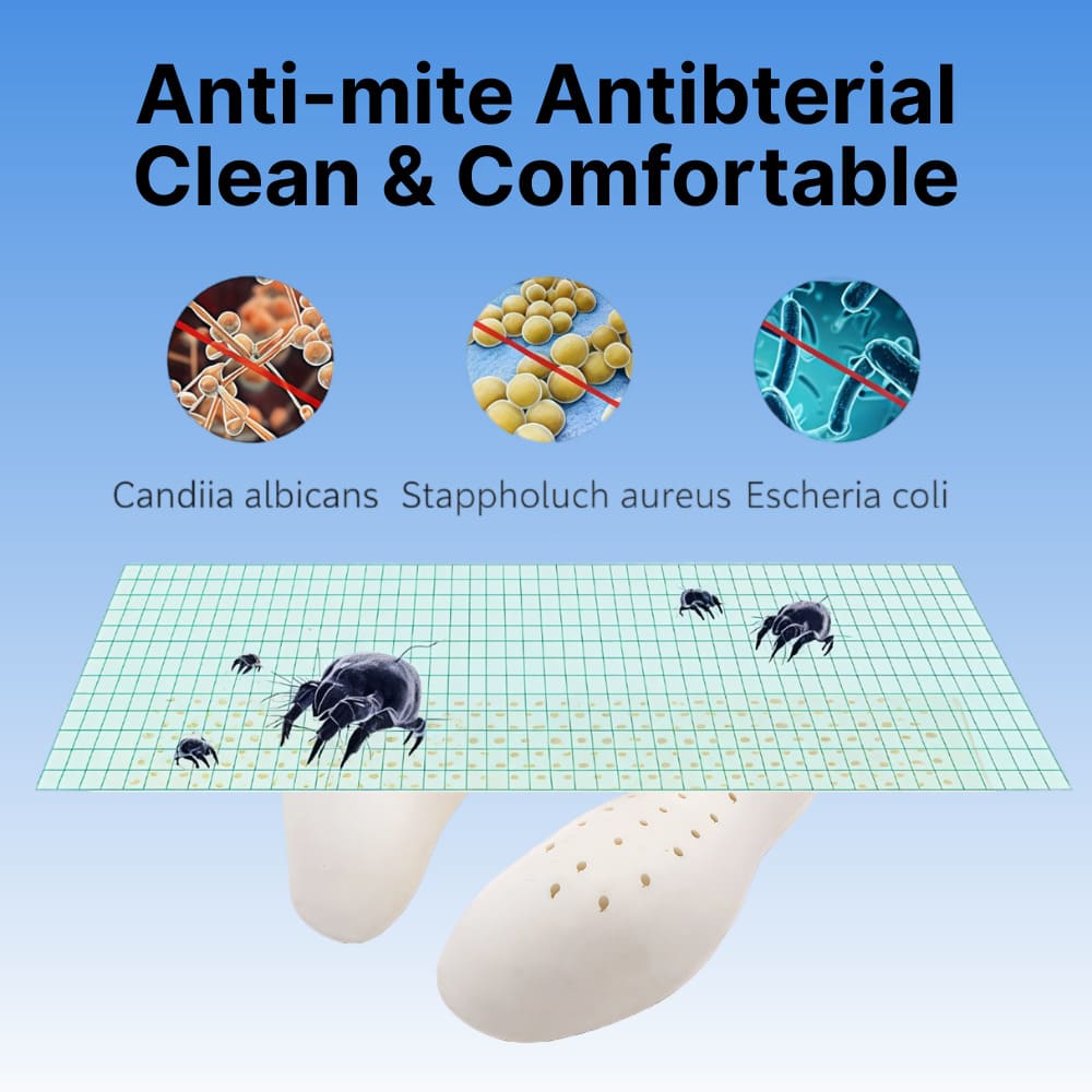 Product labeled 'Anti-mite Antibacterial Clean & Comfortable' with images of microorganisms and a grid, on a blue background.