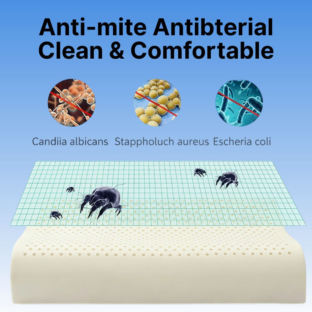 Anti-mite antibacterial mattress topper mwith images of microorganisms and text on a blue background