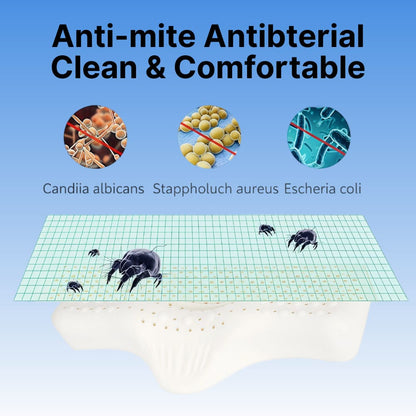 ByeAche™ Shaped Natural Latex Neck Support Pillow for Adult Sleep